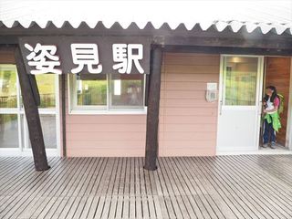 P8050773.jpg